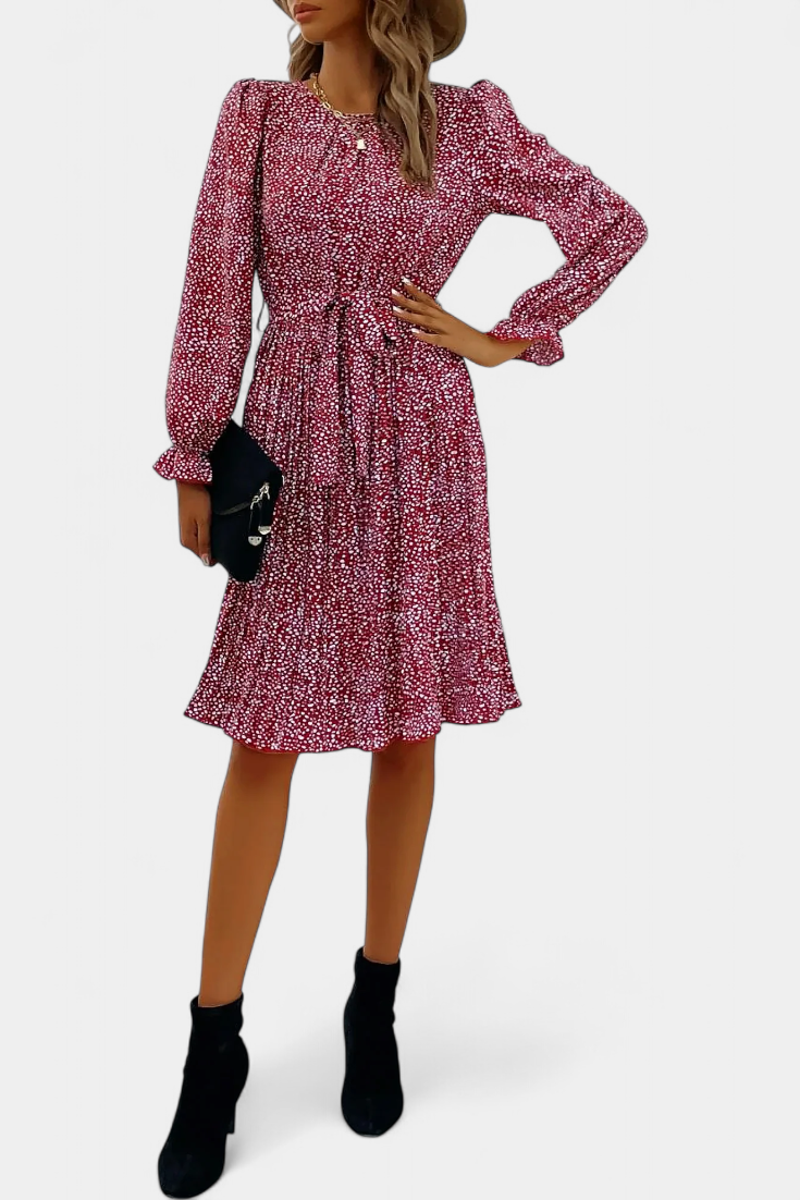 Evabeth Robe Léopard Plissée à Manches Longues