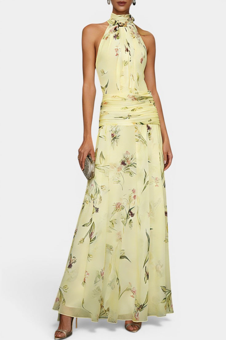 Amalthea Robe Maxi Mousseline Imprimé Floral Col Halter Nœud Taille Froncée