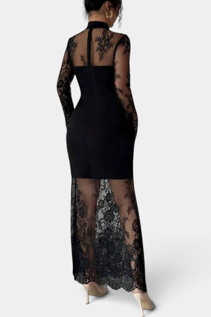 Mahaute Nicolina black long fitted dress with high neck, long sleeves, and intricate floral lace transparent panels.